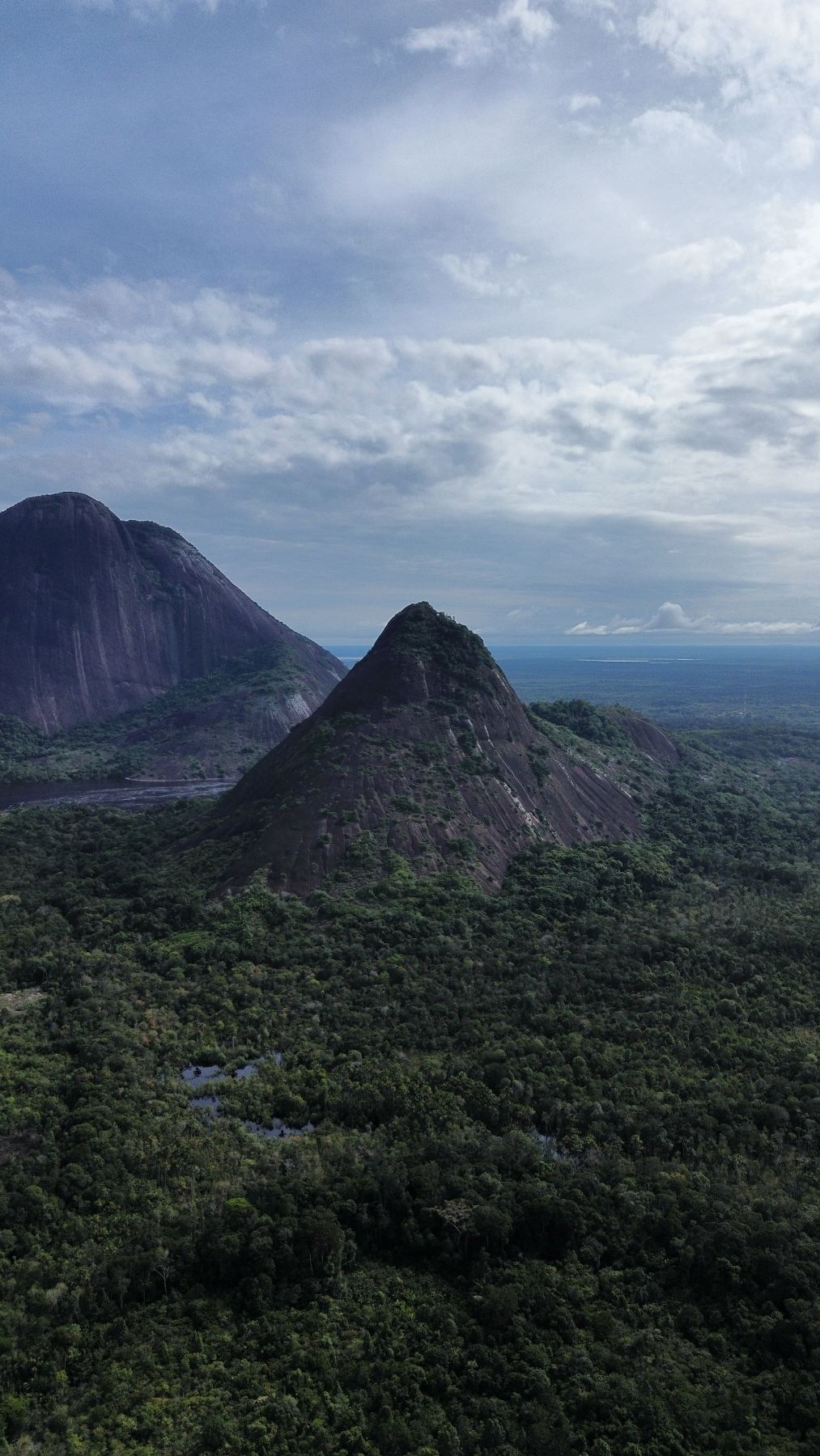 Vista aérea de los Cerros de Mavicure sobre la selva del Guainía