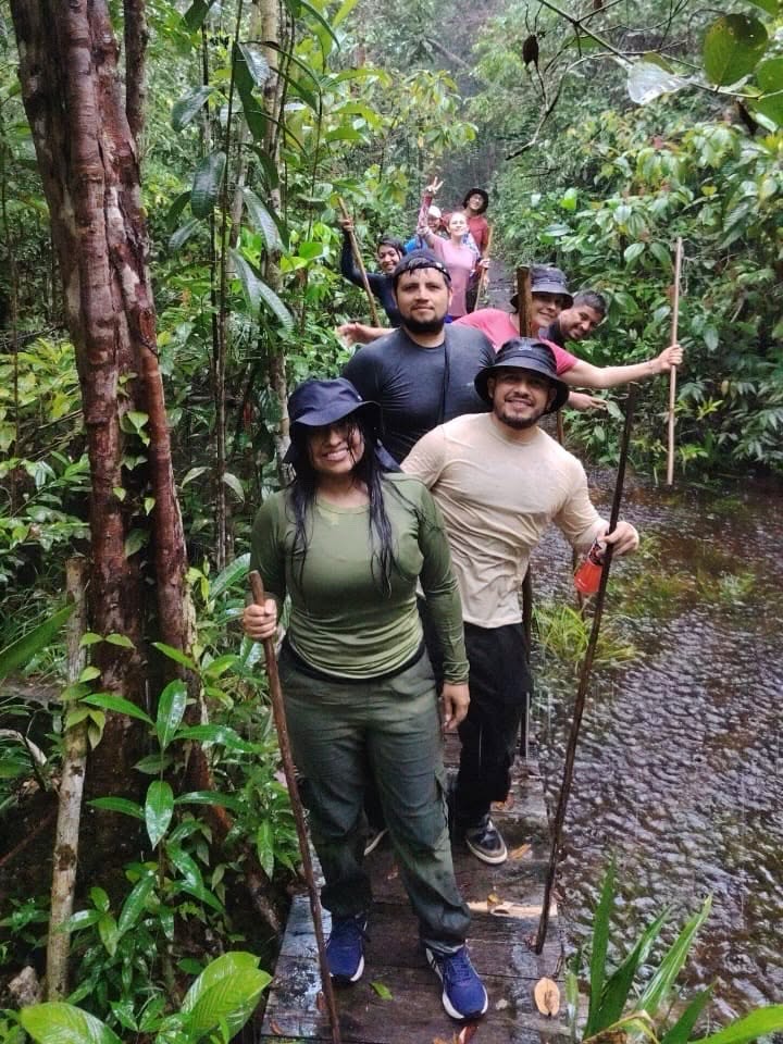 Senderismo por la selva sobre pasarelas de madera